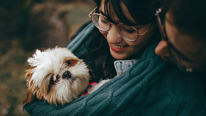 A Peaceful Final Resting Place for Your Beloved Pet: Honoring Their Memory with Care